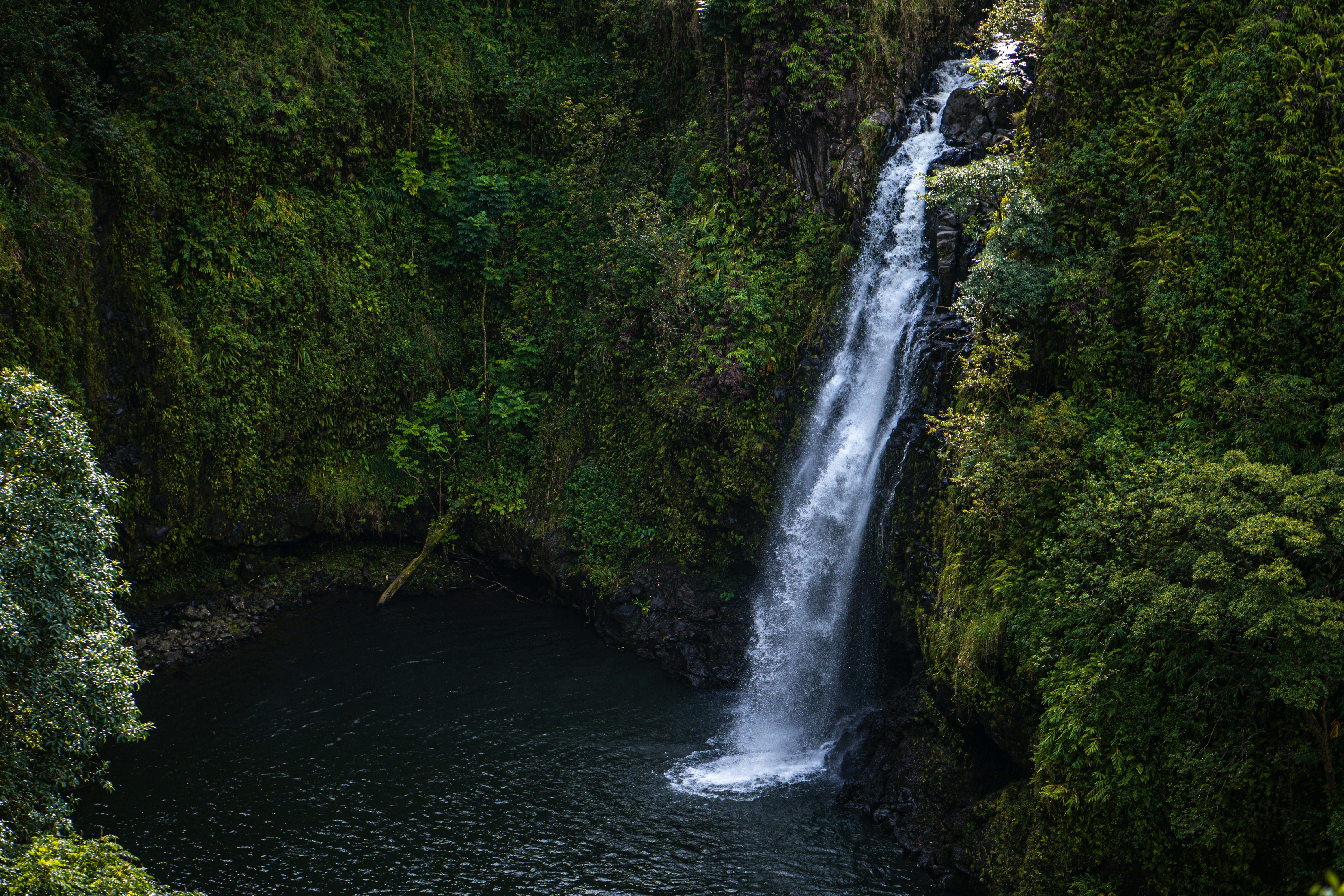 Tall waterfall cascading into a dark pool, surrounded by lush green vegetation.